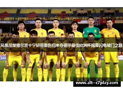 凤凰涅槃维尔茨十字韧带重伤归来夺德甲最佳欧洲杯揭幕闪电破门之路