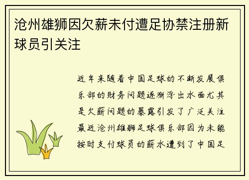 沧州雄狮因欠薪未付遭足协禁注册新球员引关注 沧州雄狮因欠薪未付遭足协禁注册新球员引关注